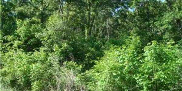 35 Meandering Way Lot 35