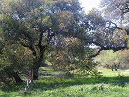 42028 Preston Trail