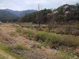 Lot 893 Cypress Drive