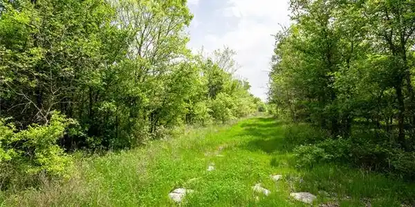 13331 S Int Hwy 45 W Lot 59