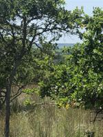 lot 205 Harbour Town Drive