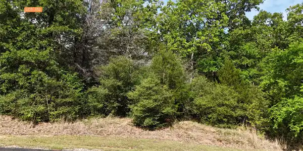 Image 4 Image 4
