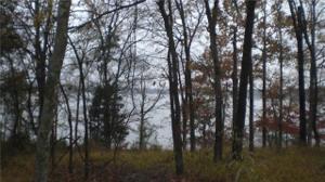 Lot 8 Pr 52444 Lot 8-08A