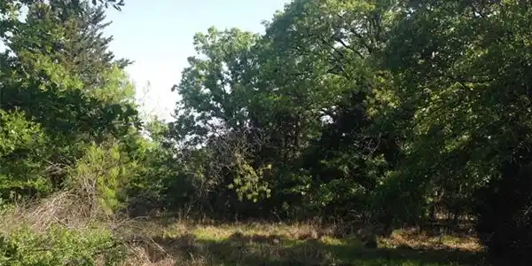 Lot 3 SE County Road 2375 Lot 3
