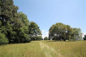 TR 1 Fm 2225 & County Road
