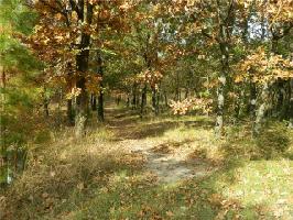 Lot 77 PR 5244