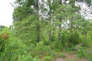 0 Rs County Road 3360 Lot 80
