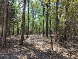 10010 Private Road 3820