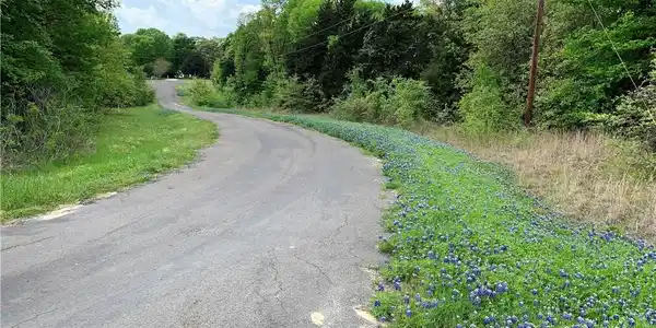 11 SE County Road 3259