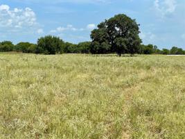 Lot 95 Cartwright Road