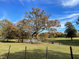 5130 County Road 2615