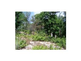 County Rd 600 Lot 49