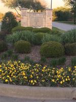 1037 Addison Avenue Lot 1