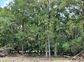 Lot 20 Roy Coffee Court