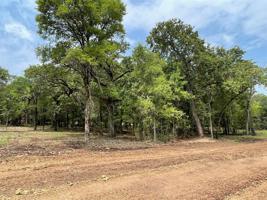 Lot 23 Roy Coffee Court