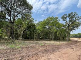 Lot 25 Roy Coffee Court