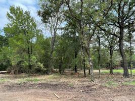 Lot 26 Roy Coffee Court