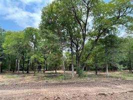 Lot 28 Roy Coffee Court