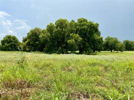 Lot 43 Cartwright Road