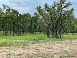 Lot 52 Greene Road