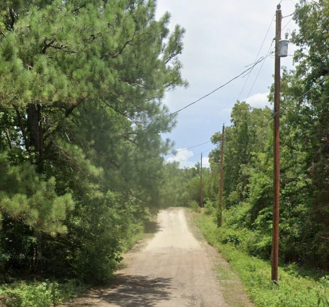 Image 1 Image 1