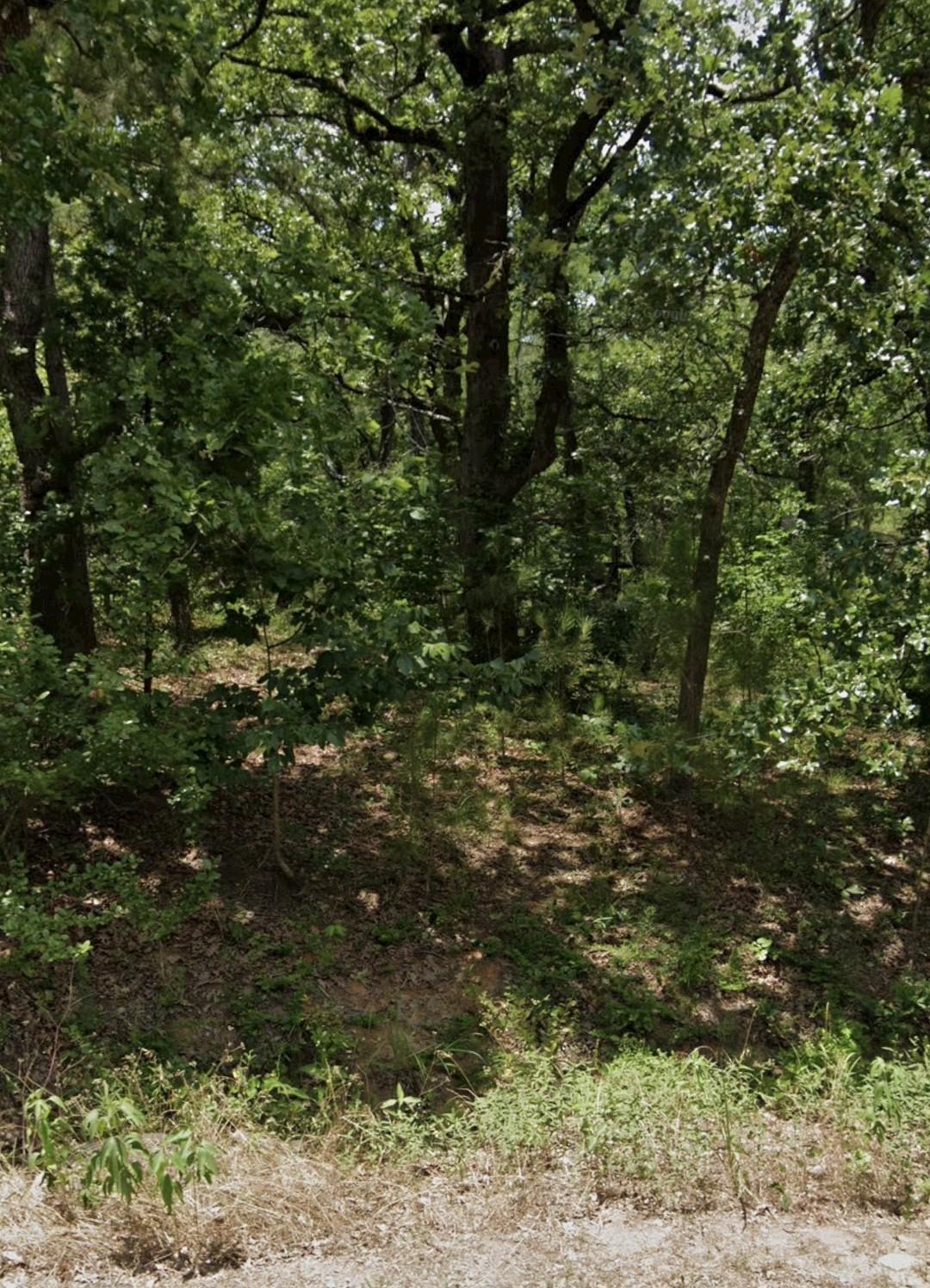 Image 3 Image 3