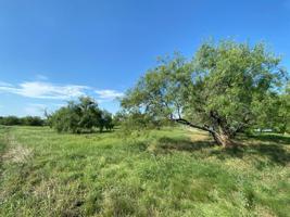 2425 Sunrise Bay Court