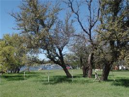 1013 Robin Lane Lot 40
