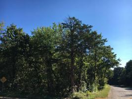 Lot 1 Johnson Drive