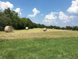 830 VZ County Road 3514