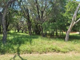35059 Oak Forest Drive