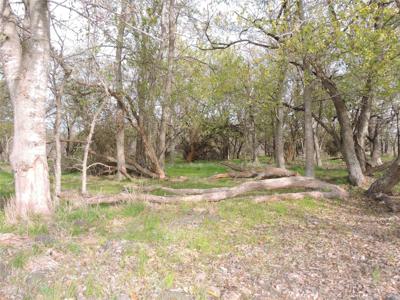 19681 Co Road 4043