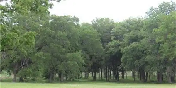 138 Lands End Lot 138