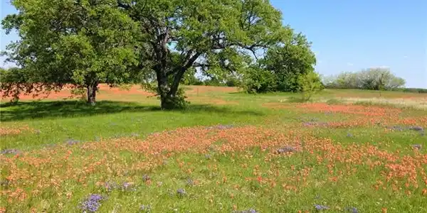 Vista Ridge Lot 55