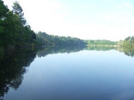 Lot 113 TBD Toler Pointe