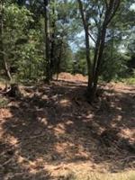 Lot 6 TBD L6 Oak Street