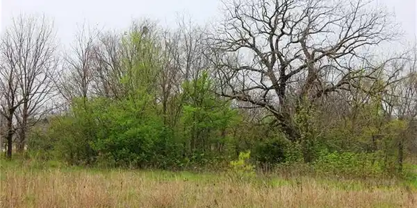Lot 2 Baybridge Lot 2