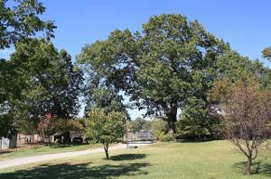 15775 County Road 1130