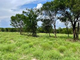 Lot 61 Greene Road