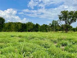 Lot 63 Greene Road
