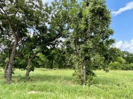 Lot 67 Greene Road