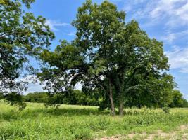 Lot 70 Cartwright Road