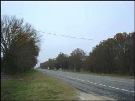 7 Hwy 154