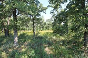 L 380 Three Forks Crossing Lot 380