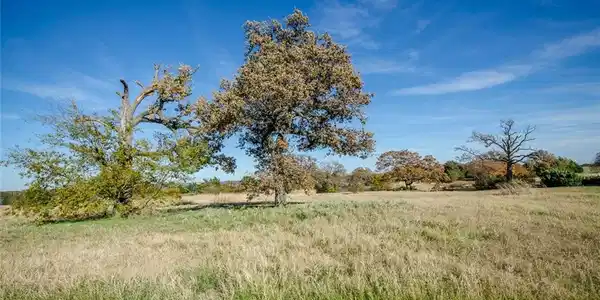 Lot 71 L 71 Vista Ridge