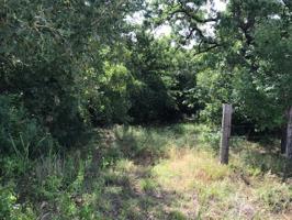 807 HANGING TREE Road Lot 5