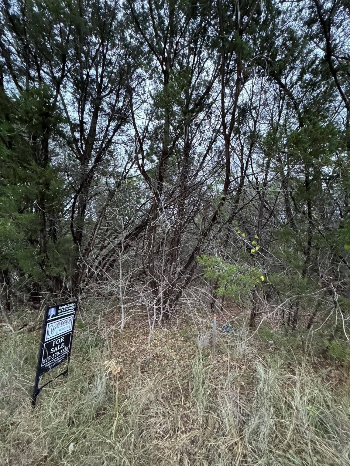 Image 4 Image 4