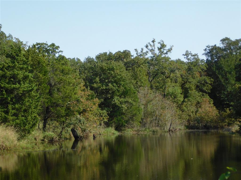 L 16 Loper Drive, Streetman, TX lhrmls00829875