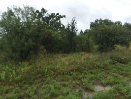 TBD Feather Bay DR Drive Lot 374