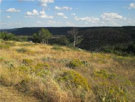 LT 217 Oak Tree Drive Lot 217